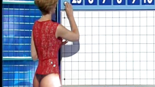 chó phin set xxx cái nhồi bông cứng